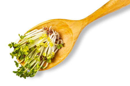 Shoots of microgreens for food in a wooden spoon, isolated on white. Vegan or lean menu, salad ingredients.の写真素材