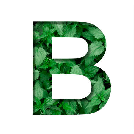 Font made of leaves, letter B, cut out of paper on a background of natural green nettle. Fresh young natural leaf volumetric Earth day font set.の写真素材