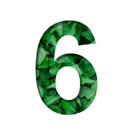 Font made of leaves, digit six, 6, cut out of paper on a background of natural green nettle. Fresh...