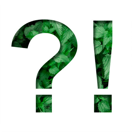Font made of leaves, exclamation and question marks, cut out of paper on a background of natural...