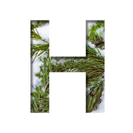 Winter font. Letter H, cut out of paper against the background of winter fir branches with snow. A set of volumetric natural fonts, suitable for Christmas signatures.の写真素材