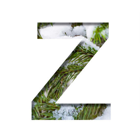 Winter font. Letter Z, cut out of paper against the background of winter fir branches with snow. A set of volumetric natural fonts, suitable for Christmas signatures.の写真素材