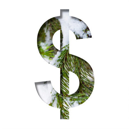 Winter font. Dollar money symbol, is cut out of paper against the background of winter fir branches...