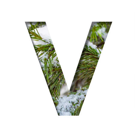 Winter font. Letter V, cut out of paper against the background of winter fir branches with snow. A set of volumetric natural fonts, suitable for Christmas signatures.の写真素材