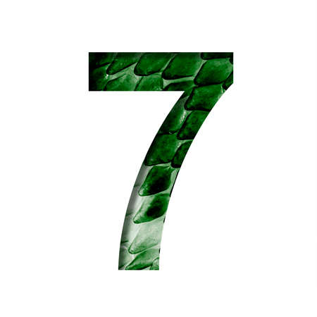 Dragon scale font. Digit seven, 7 cut out of paper on the background of the dark green skin of a mystical dragon with scales. Set of decorative fontsの写真素材