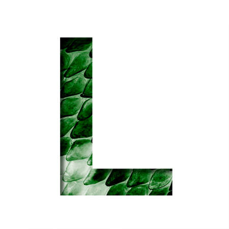 Dragon skin font. The letter L cut out of paper on the background of the dark green skin of a mystical dragon with scales. Set of decorative fontsの写真素材