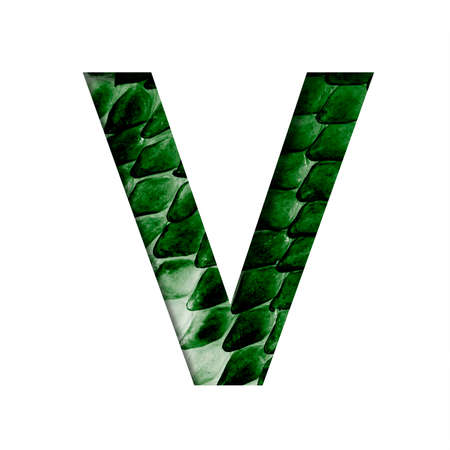 Dragon skin font. The letter V cut out of paper on the background of the dark green skin of a mystical dragon with scales. Set of decorative fontsの写真素材