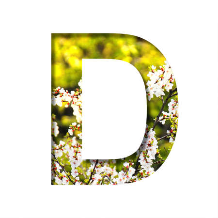 Spring sunny font. The letter D cut out of paper on the background of blooming cherry on a sunny spring day. Set of decorative natural fonts.の写真素材