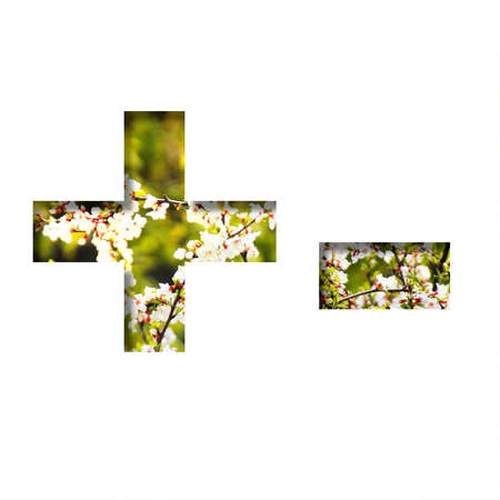Spring sunny font. Plus and minus signs cut out of paper on the background of blooming cherry on a sunny spring day. Set of decorative natural fonts.の写真素材