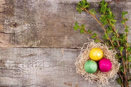 rustic background with easter colored eggs in decorative nest and young fruit greens, top view, flat lay, copy space, place for textの写真素材