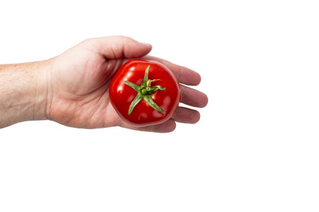 red ripe tomato in the hand of a man on a white background isolated, top view.