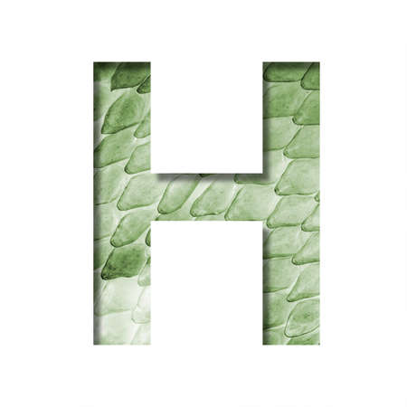 Snake scales font. The letter H cut out of paper on the background of a green snake skin with large scales. Set of decorative fonts.の写真素材