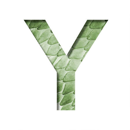 Snake scales font. The letter Y cut out of paper on the background of a green snake skin with large scales. Set of decorative fonts.の写真素材