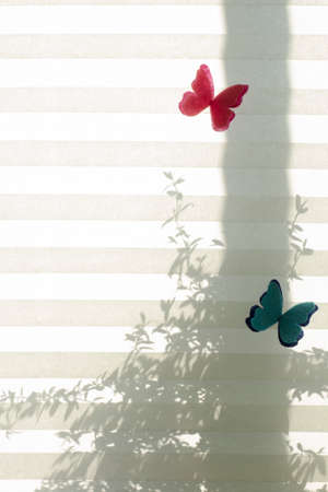 Silhouette of a home flower on window blinds on a bright sunny day, copy space.の写真素材