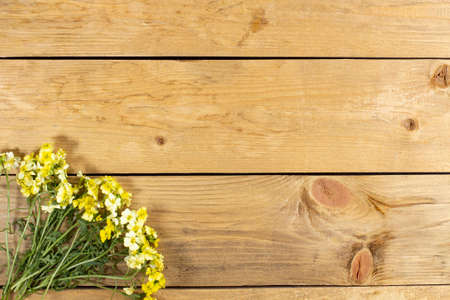 Yellow spring flowers composition on a rustic wooden table as a frame, flat layer, copy space.の写真素材