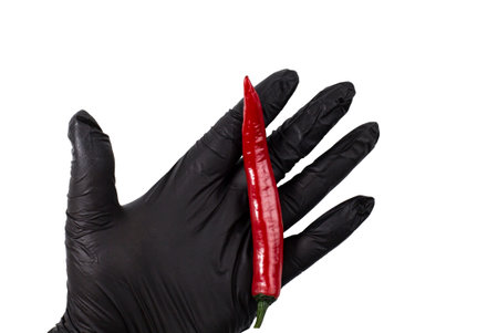 Pod of red hot chili pepper on the hand of a man in a black glove on white isolateの写真素材