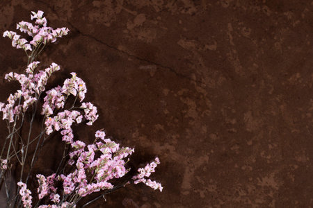 Flowers composition, bright pink flowers on a polished stone surface, place for text, copy space.の写真素材
