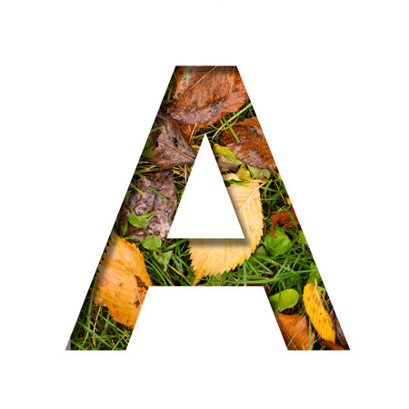 Early autumn font.The letter A cut out of paper on a background of green grass with yellow autumn leaves of trees, early autumn. Decorative nature alphabet, font collection.の写真素材