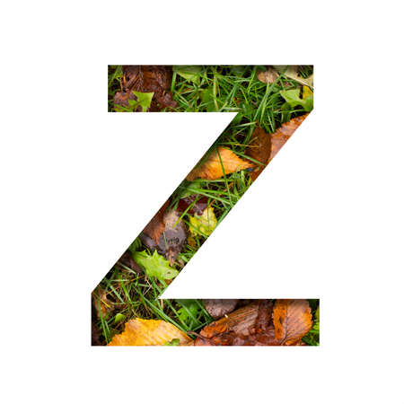 Early autumn font. The letter Z cut out of paper on a background of green grass with yellow autumn leaves of trees, early autumn. Decorative nature alphabet, font collection.の写真素材