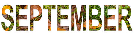 The inscription September on a background of green grass and yellow leaves, early autumn.の写真素材