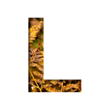 The letter L is cut from white paper with autumn fern leaves background, late autumn font or...