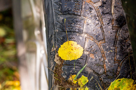 Bright autumn leaves of a tree stuck to a car wheel, autumn concept, selective focus.
