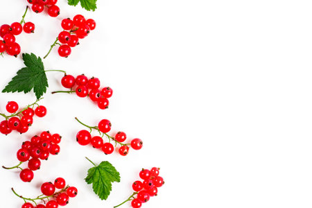 Bunches of ripe red currant berries and green leaves as a frame on white, pattern, top view, flat...