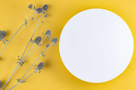 Podium for the presentation of cosmetics or hygiene products. Round podium on a yellow background with a branch of dry thorn, top view, copy space.の写真素材