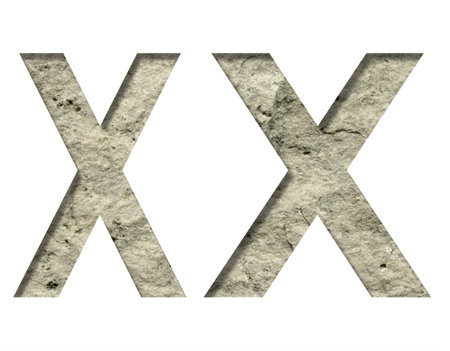 Stone letter X cut out of white paper on the background of the texture of natural stone close-up, decorative fontの写真素材