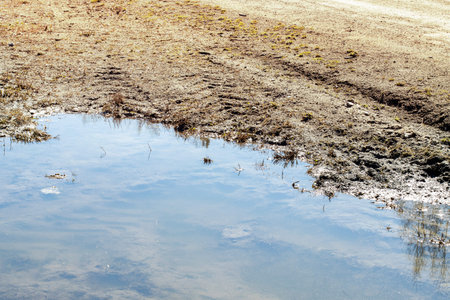 A puddle on a dirt road on a bright sunny day.