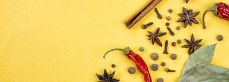 Spices frame on yellow, wide view, top view, flat lay, space for text, copy space