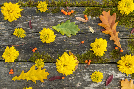 Autumn leaves and yellow flowers pattern on an old table, texture of old boards