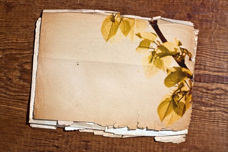 Paper and wood texture with autumn leavesの写真素材