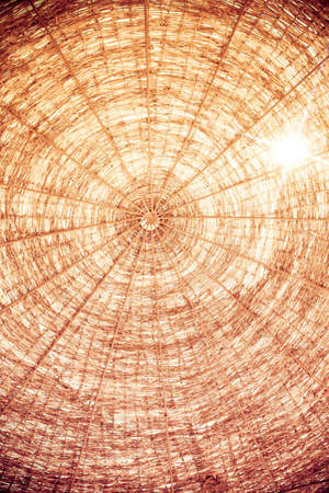 Beach umbrella background  Summer vacations conceptの写真素材