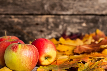 Autumn border from apples and maple leaves on wooden backgroundの写真素材