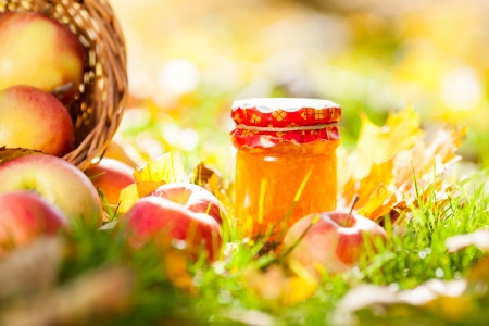 Jam in jar and red apples on a grass. Autumn harvest conceptの写真素材