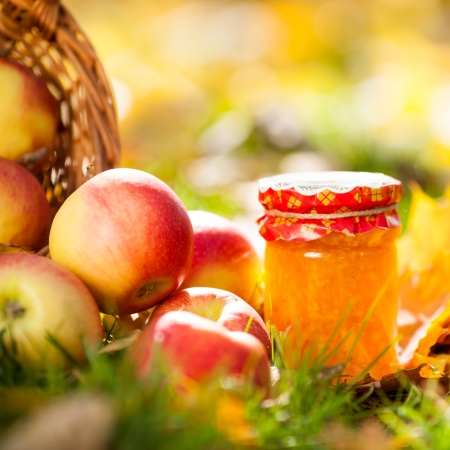 Jam in glass jar and red juicy apples on a grass. Autumn harvest conceptの写真素材