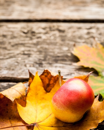 Autumn border from apple and maple leaves on old wooden tableの写真素材