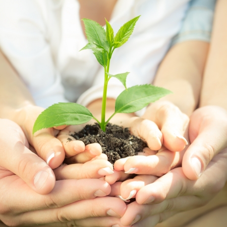 Family holding young green plant in hands. Ecology conceptの写真素材