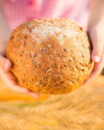 Child holding bread in hands against yellow autumn wheat background  Shallow depth of fieldsの写真素材