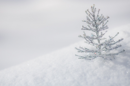 Silver Christmas tree decoration on real snow outdoors  Winter holidays conceptの写真素材