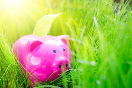 Piggybank and leaf on green spring grass. Shallow depth of fieldの写真素材