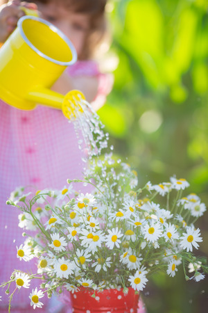 Happy child watering daisy outdoors in spring gardenの写真素材