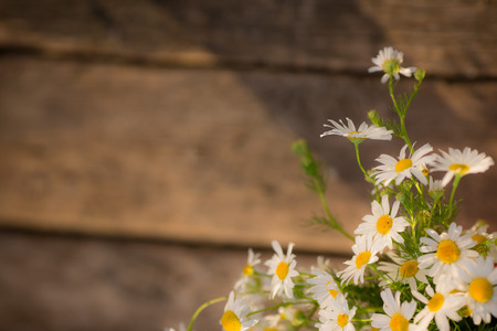 Flowers against wooden backgroundの写真素材