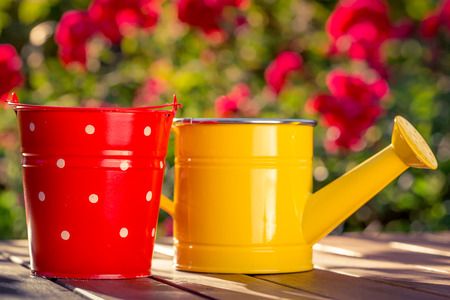 Garden tools. Watering can and bucket against spring backgroundの写真素材