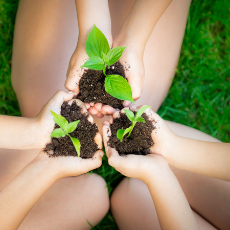 Children holding young plant in hands against spring green background. Ecology conceptの写真素材
