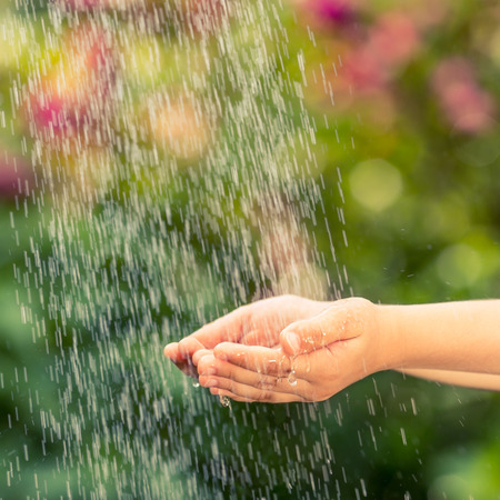 Children hands in the rain against green spring background. Ecology conceptの写真素材