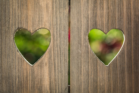 Old wood texture. Spring backgroundの写真素材