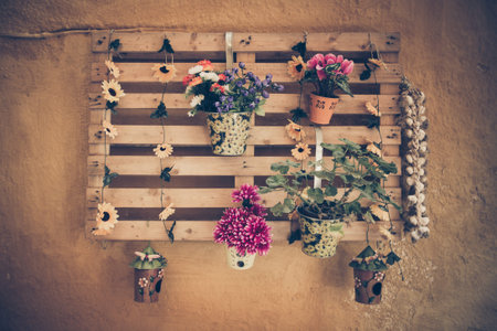 Flowerpot on the grunge wallの写真素材