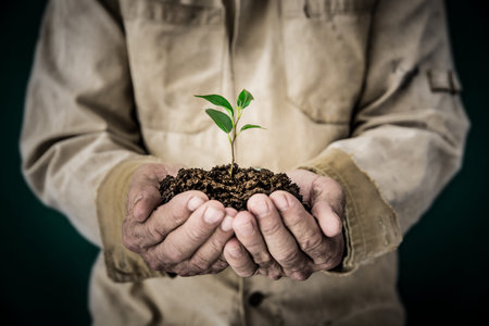 Senior man holding young plant in hands. Ecology concept
